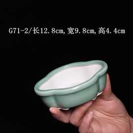 多肉微型手掌紫砂小花盆菖蒲苔藓海棠盆微盆景盆宜兴青瓷小盆