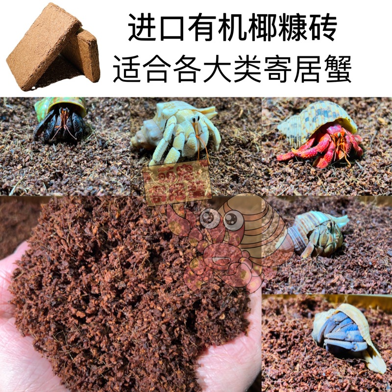 寄居蟹专用进口有机椰糠椰砖小颗粒保湿不易染色爬宠垫材蜕皮椰土|undefined