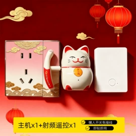 墙壁插座;轨道插座;墙壁开关