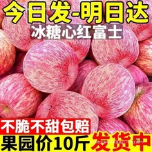 崨tʿOˮr䮔ƽİ]Ƽ