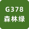 Forest green 12 pieces [G378]