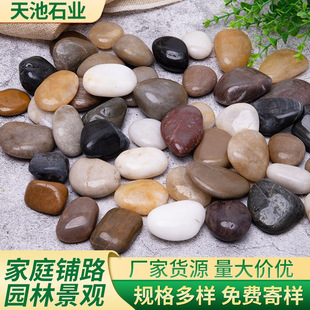 Nanjing Polished Goose Warm Stone Park Paving Garden Rain Flower Stone Pebbles Landscaping Decoration Colorful Small Stones