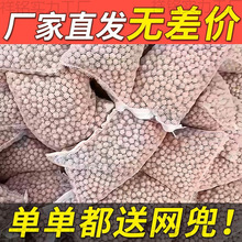 пʯӢ~׌^Vˮ{׼մɃˮV