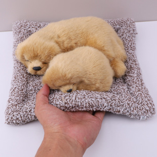 ܇�d����̿���湷��܇�[������܇�d�ƷƤë��ˇƷ��̿��С������