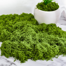 ����̦�\��Ƥ�����������̦΢���^���Ô[����ƺ�辰��������쾰