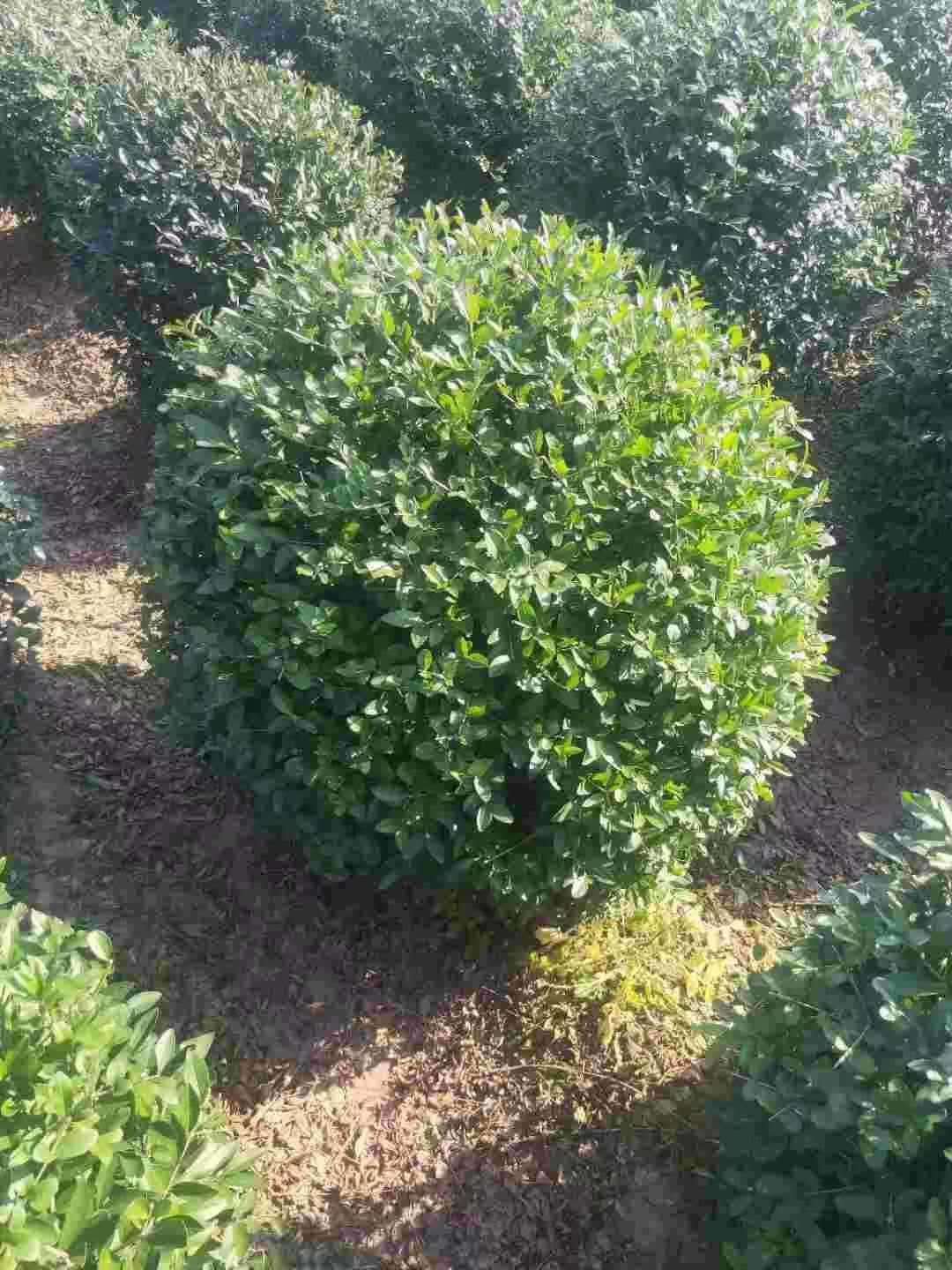 ΢ͼƬ_20210314105157