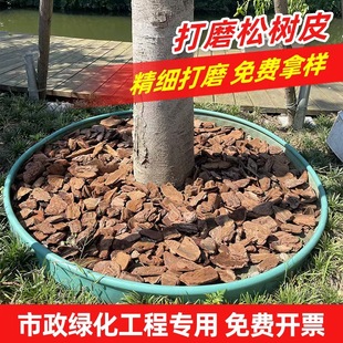 �@�־G����ĥ�ɘ�Ƥ���w��l���ɘ�Ƥ���[��ɫľмľ�z�ЙC���w��