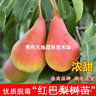 ����ܛ��޽�����t�������tơ��������������ͥԺ���Թ�����