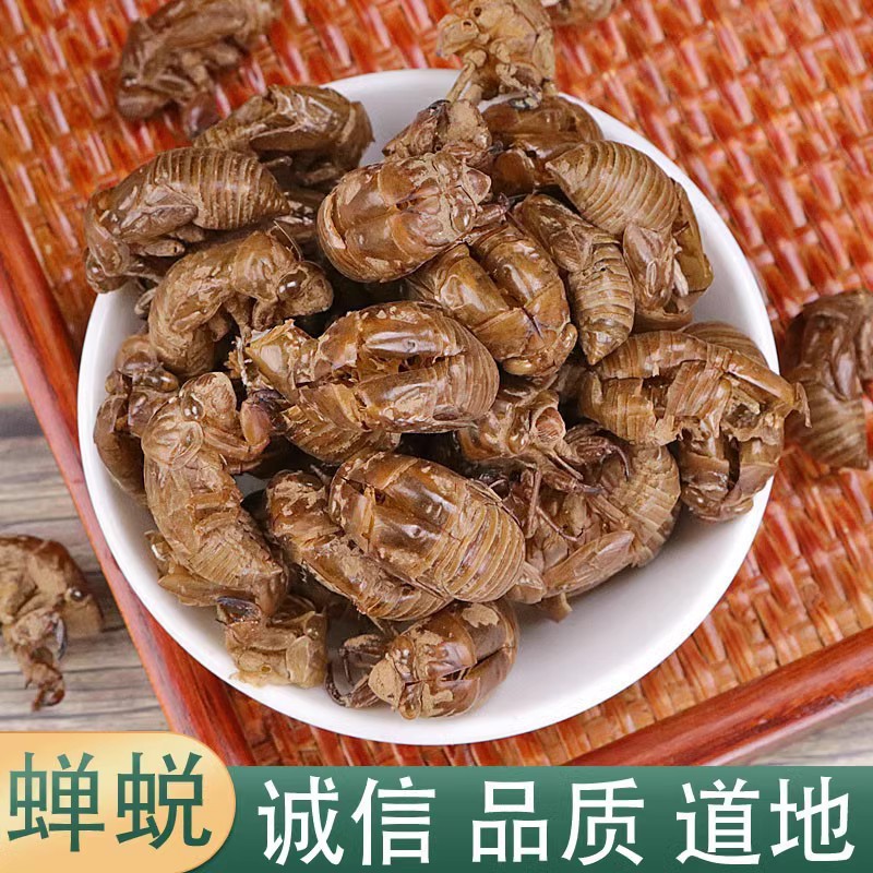 中药材无硫 蝉蜕 蝉衣 蝉壳知了皮蝉蜕粉 500克包邮新货