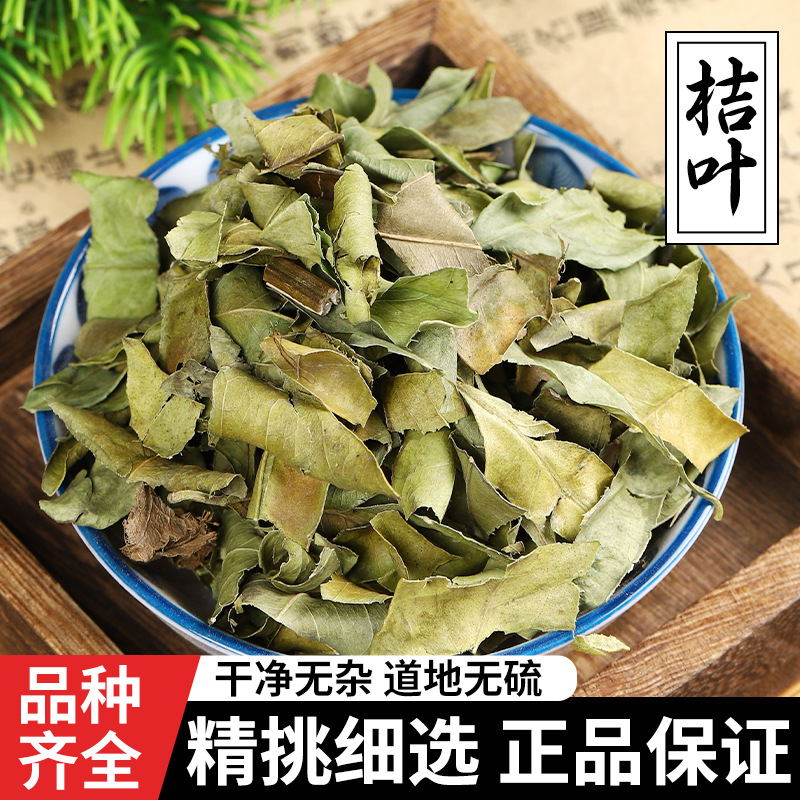 秦岭野生橘叶中药材 金橘叶 桔叶 橘叶 桔子叶 金桔叶 500克/包邮