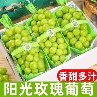 ꖹ�õ������3/5���b���rˮ���������џo�Ѯa��ֱ�l���ᮔ������