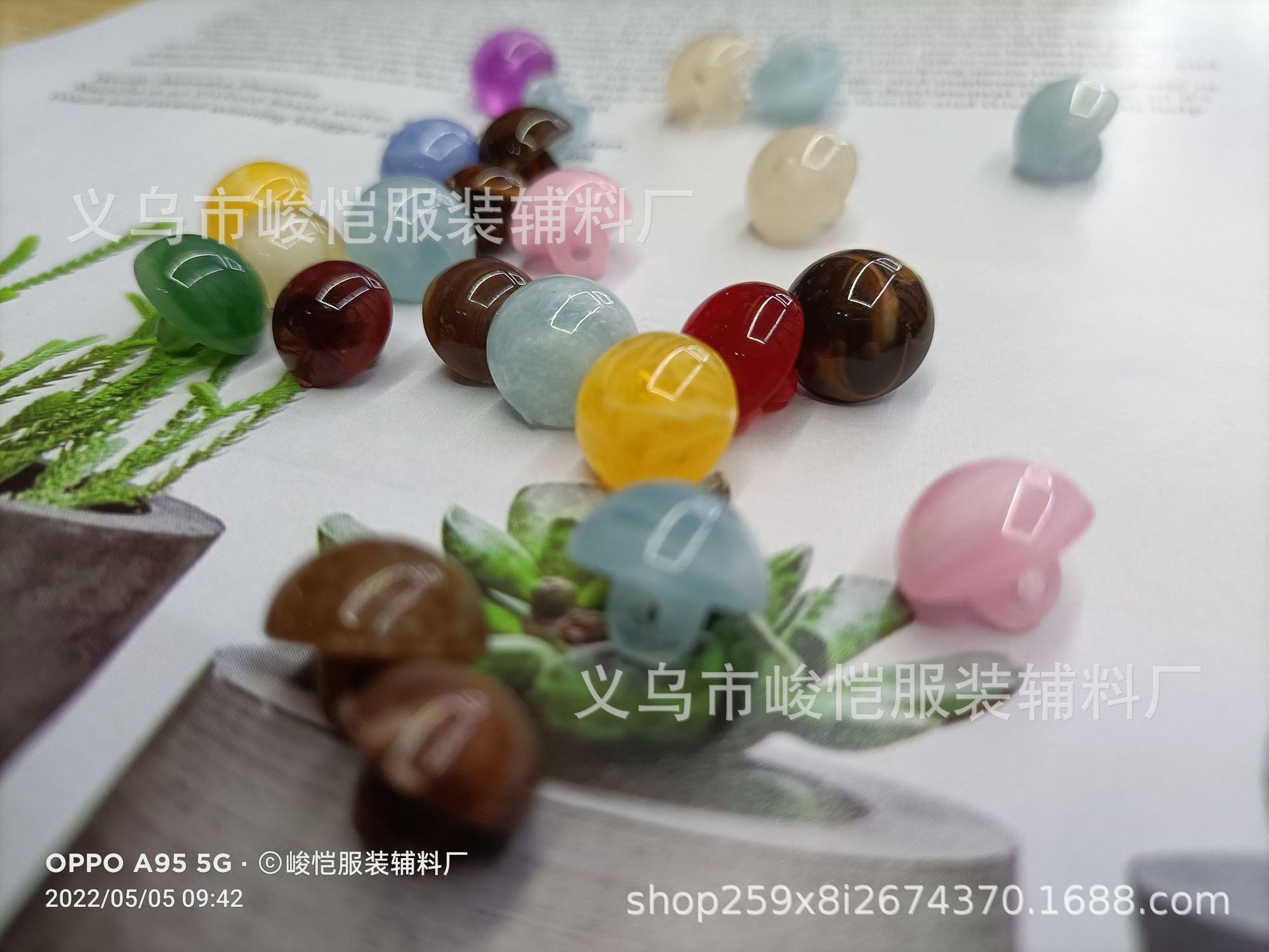 03833fe423aedcb0439c99d692bd2c