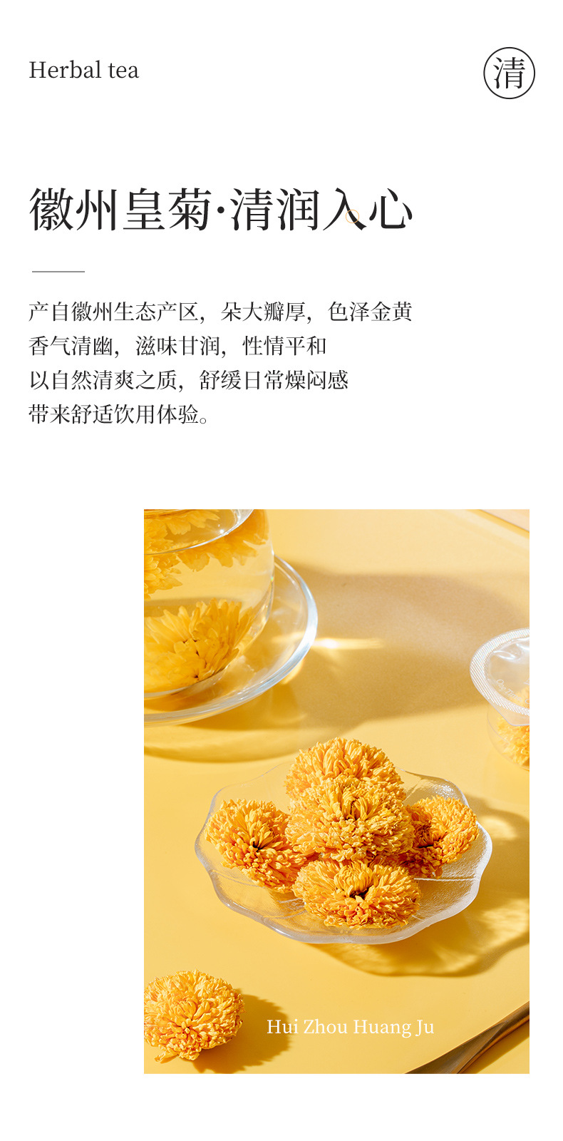 Huizhou Imperial Chrysanthemum Tea Large Whole Blooms Ju Hua 10g Mini Can Hot Brew Herbal Flower Tea overview
