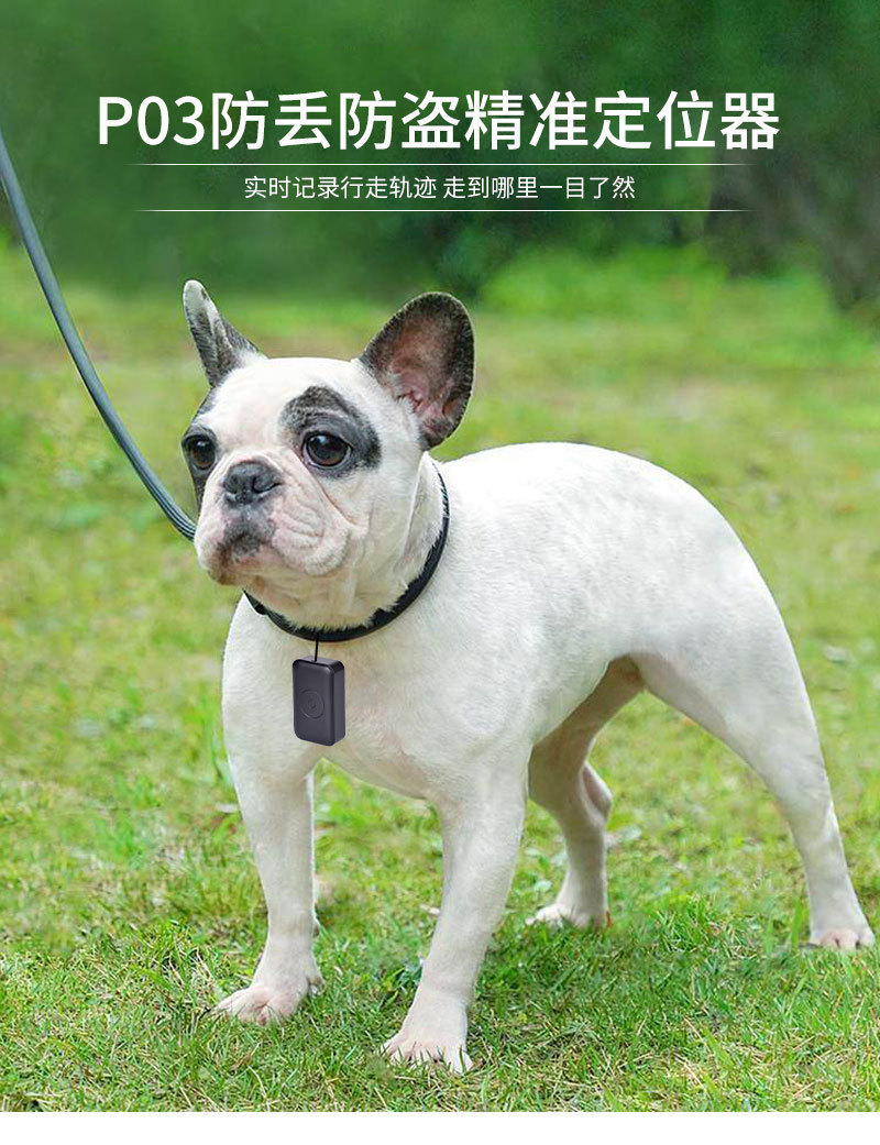 P03 Pet Gps Locator Beidou Wifi Intelligent Positioning Collar Cat Dog Cow Sheep Horse Waterproof Anti-Lost Device
