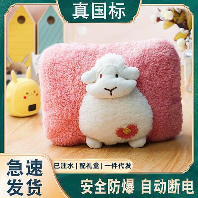 新款國標電熱水袋防爆卡通暖手寶暖水袋充電式電暖寶毛絨注水批發