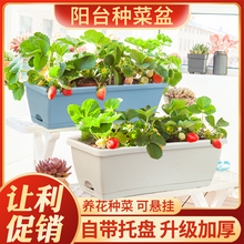 家庭阳台种菜盆长方形室内盆栽种植蔬菜神器花箱塑料吸水草莓花百