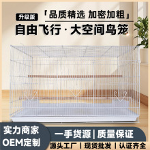 �羳����ĵ���˸��B�u�\�W�^�e���\�ӷ�ֳ�����^�p�\����g����