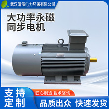 永磁同步电机 批发一级能效变频电机 22kw~75kw油泵电机工厂供应