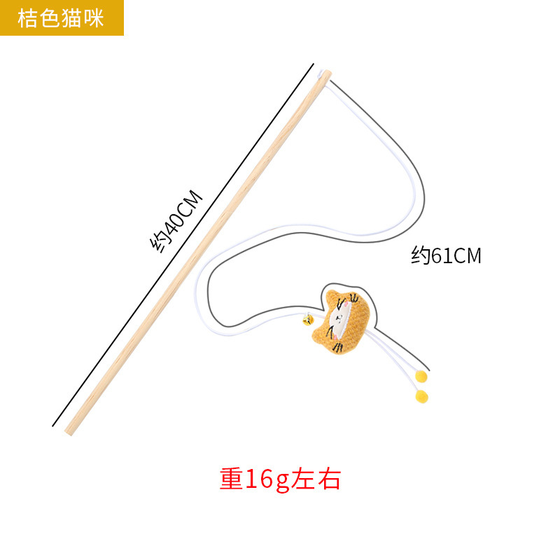 주황색 고양이