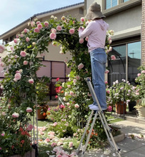 һ�����l�Nޱ���������¼�����õ��ͥԺ���پG�h����̨��������