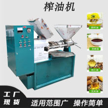 螺旋芝麻核桃榨油机乌桕桐籽压榨设备葵花籽食用油生榨机