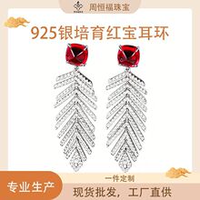 S925���y�����й��ʌ���ë���h�p���ع��������|�ٴ�ʌ����Ů