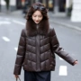 海宁加厚女式真皮皮衣