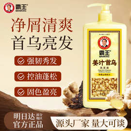 霸王首乌姜汁洗发水去屑止痒控油蓬松头皮生姜洗发露厂家直销护发
