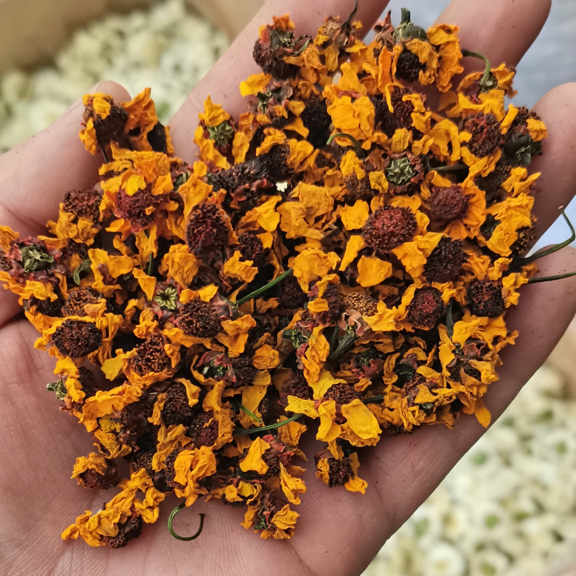 Kunlun Snow Chrysanthemum (Coreopsis tinctoria) — Xinjiang Tianshan Snow Chrysanthemum Buds, 500g Loose Herbal Tea key features