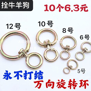 ��\�f�����D�h8���D�h˨��˨ţ�FȦ�h�۷��p�@�hţ�\�^�����Bֳ