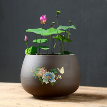 紫砂水缸水培花盆蓄水无孔贴花彩绘手绘绿植睡莲水仙碗莲铜钱草