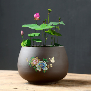 ��ɰˮ��ˮ�໨����ˮ�o���N�����L���L�Gֲ˯ɏˮ����ɏ�~�X��