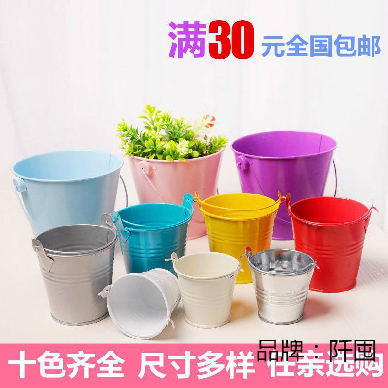 植物盆栽迷你彩绘 DIY笔筒儿童沙滩玩具桶收纳小桶铁皮花盆批发