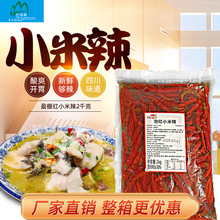 盈棚红小米辣2kg 泡菜水野山椒小米椒自制泡凤爪家用炒菜酸辣椒