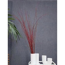 tzl廨ˇǤGֲֹ͏dbƴPɰlѿ