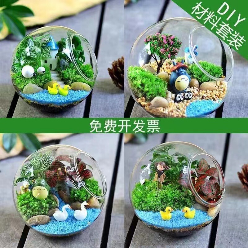 Moss Micro-Landscape DIY Material Kit Glass Bottle Succulent Green Plant Potted Moss Micro-Landscape DIY Educational Scene Moss Micro-Landscape DIY Material Kit Glass Bottle Succulent Green Plant Potted Moss Micro-Landscape DIY Educational Scene