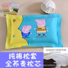 �w������ͯ���^3��6�q�����׃��@��������ȫ�w���W����о�ļ�ͨ��