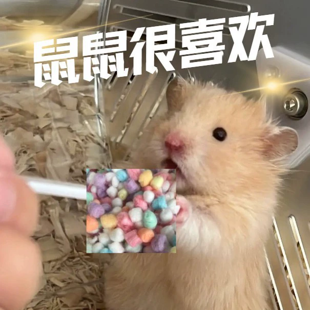 Хомячок Хомяк 100 шаров Обезжиренные хлопковые шары Цветные хлопковые шары Чистый и теплый