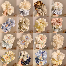 ����̖������c�lȦŮ2026�¿���|���Შ�c�l�㼑��L�߼����^�K