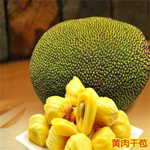 ���}�ۘ����޽ӹ�������ļ�ˮ�����҃���ͥԺ���ԷN���ͺ���ɏ