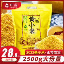 2023年新米山西特产黄小米5斤农家杂粮月子小米粥食用吃的小黄米