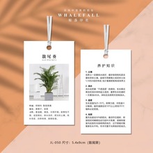 绿植养护吊牌通用 巴西木天竺葵苏铁保养吊卡挂牌温馨提示种植卡