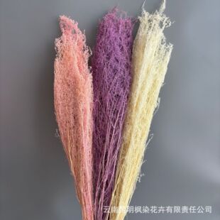 �羳��ɫ���x����������ɻ����DIY��ˇ�Y���b廨��Ĳ廨
