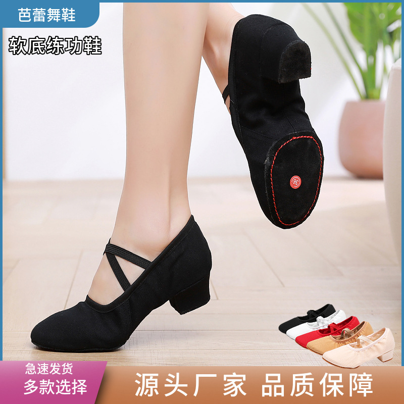 Physique Teacher Dance Shoes Soft Sole Yoga Ethnic Chinese Practicing Women's Adult Dance Shoes Girls Ballet with Root