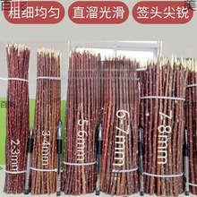 tt⺞ľ⴮ꌣüt½Ӽt֦