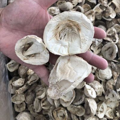 Furuta specialty Straw mushroom Mushroom fungus Orchid mushroom Succulent crisp Delicious Dry mushroom New wholesale goods