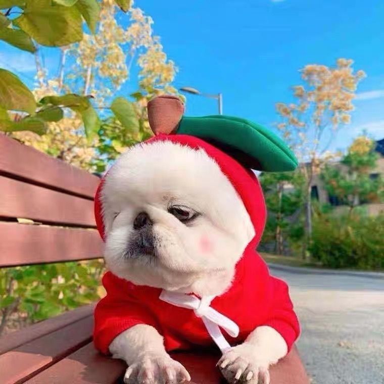 애플 스타일
