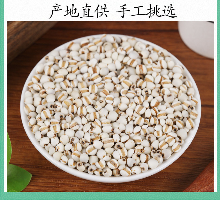 Premium Coix Seed Yi Yi Ren 500g Dried Job's Tears for Food and Herbal Use specifications