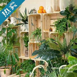 ��ľ�ռ{�����ֲ��ľ���b��ж��^ľ�������ľ����ˮ��չʾ��