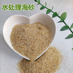 Washed Sea Sand Filter Material Manufacturer Direct Supply Water Treatment Quartz Sand Filter Sand Quartz Sand with Good Roundness Available in Stock for Sample